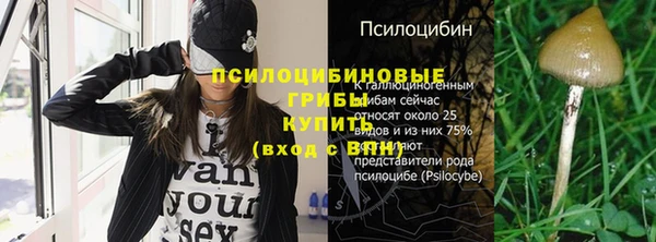 каннабис Богданович
