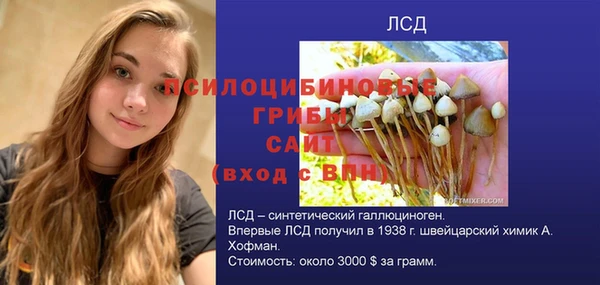 2c-b Богородск